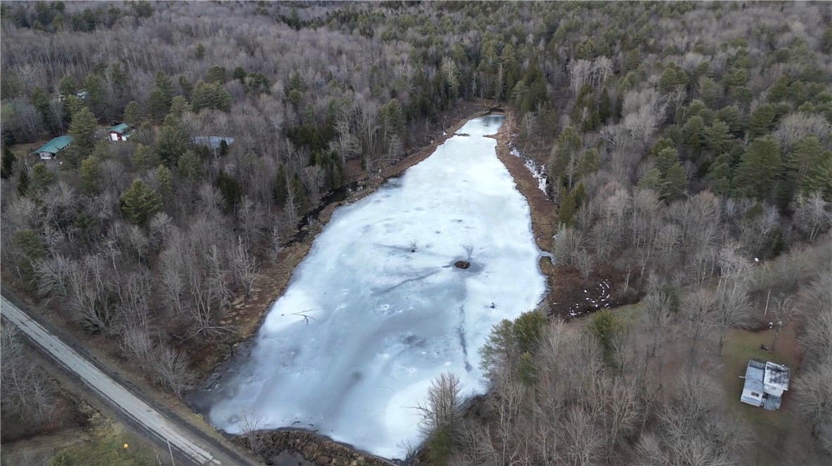 156 South Worcester Hill Road Jefferson, NY 12093 - Photo 9 of 50