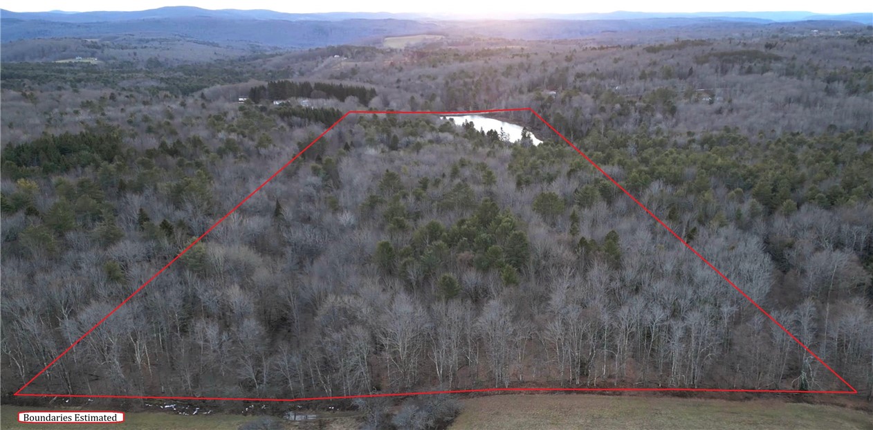 156 South Worcester Hill Road Jefferson, NY 12093 - Photo 10 of 50