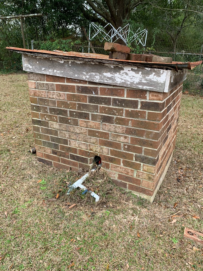 172 Bauman Road Ashford, AL 36312 - Photo 37 of 40