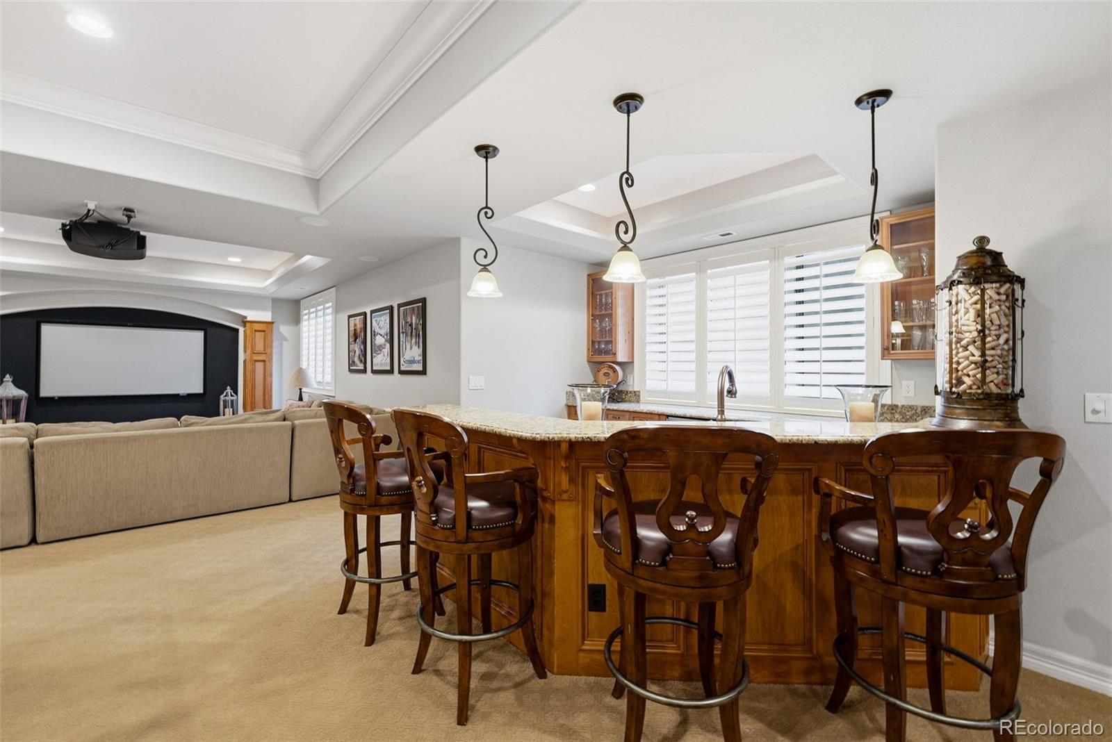 10258 Dowling Way Highlands Ranch, CO 80126 - Photo 31 of 50