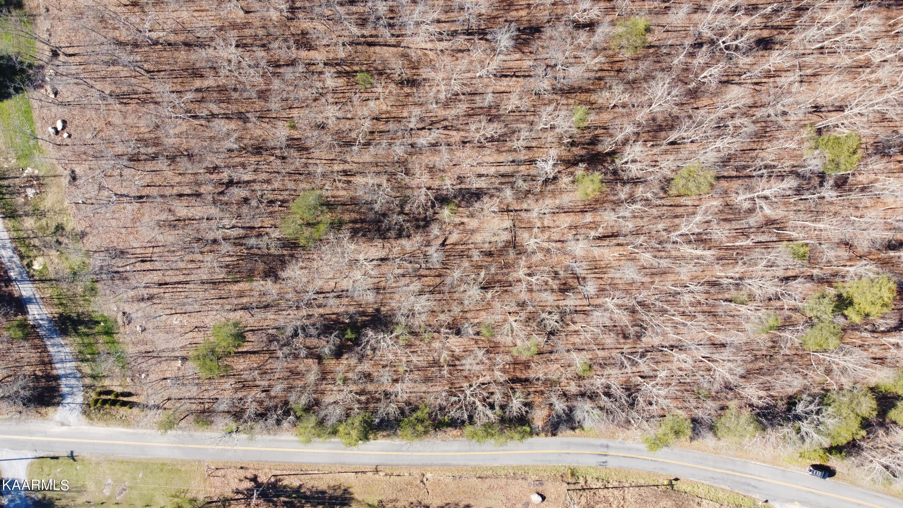 6.42 Porch Rock Road Pikeville, TN 37367 - Photo 3 of 21 DJI_0469