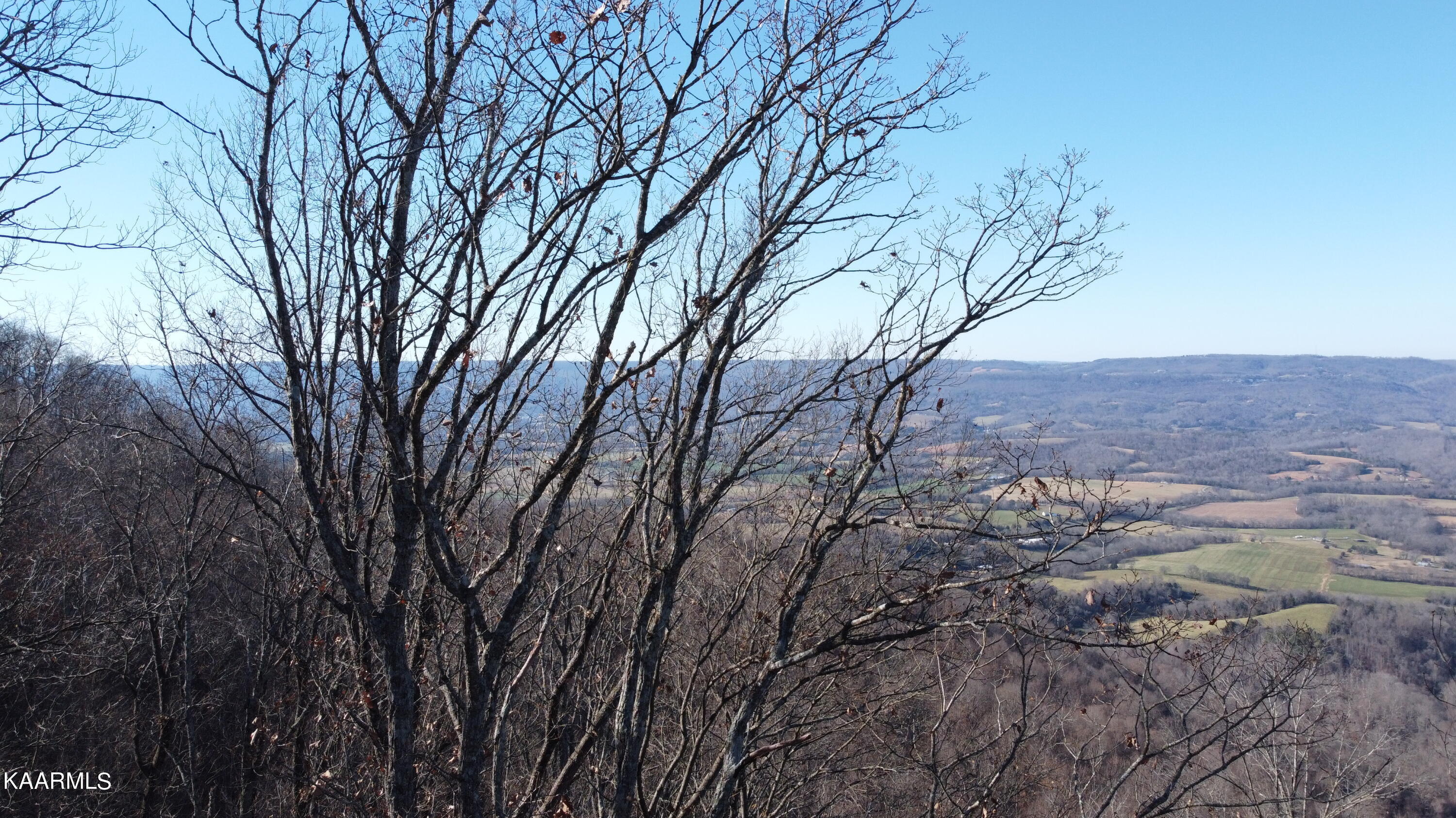 6.42 Porch Rock Road Pikeville, TN 37367 - Photo 8 of 21 DJI_0460
