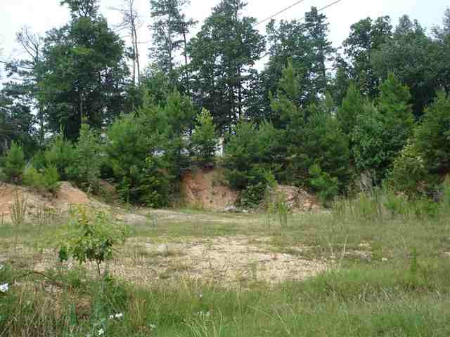 40 Lofty Ridge Road Greenville, SC 29609 - Photo 9 of 11 Gallery Image 9
