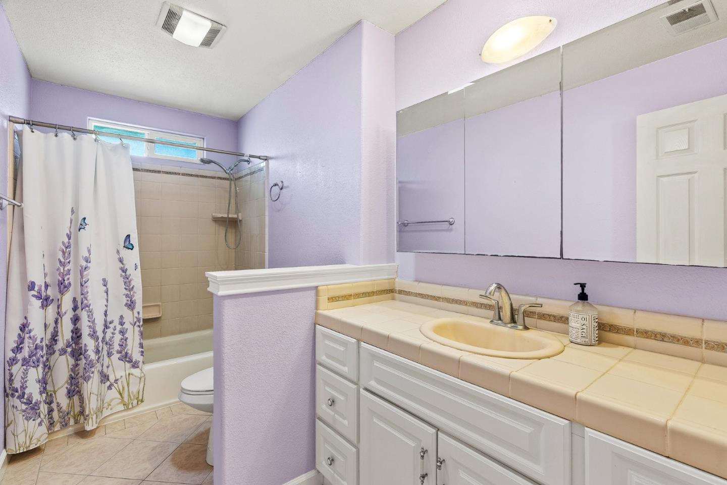 842 Central Avenue Salinas, CA 93901 - Photo 17 of 24 a bathroom with a sink and a mirror