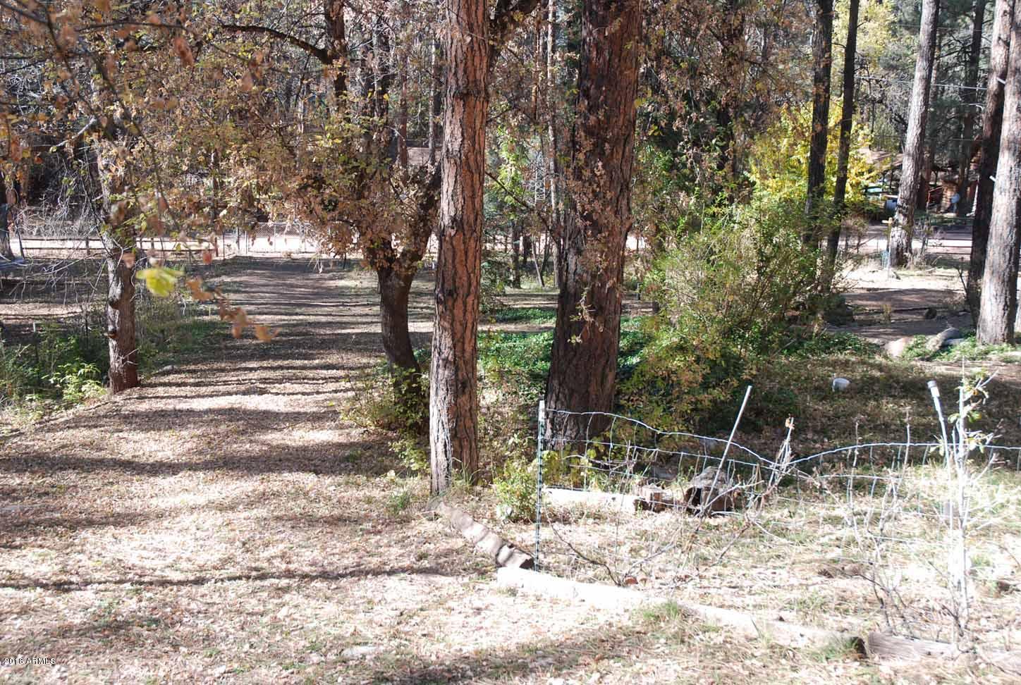 265 West Columbine Road Payson, AZ 85541 - Photo 11 of 43 6.0Yard