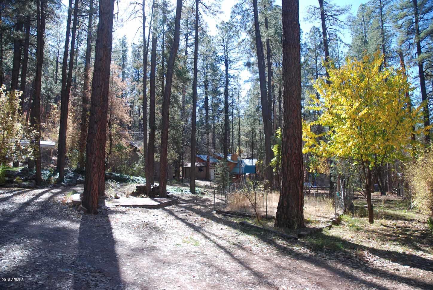 265 West Columbine Road Payson, AZ 85541 - Photo 17 of 43 11.1Yard