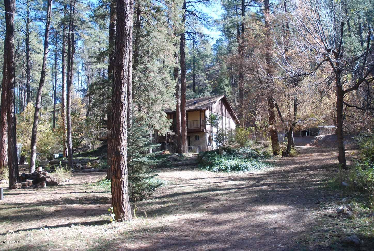 265 West Columbine Road Payson, AZ 85541 - Photo 18 of 43 11.2Yard