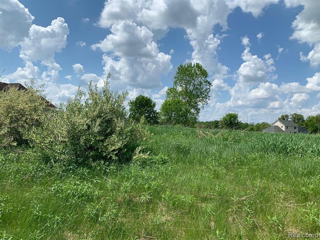 Lot 12 Doves Point Brighton, MI 48114 - Photo 2 of 4