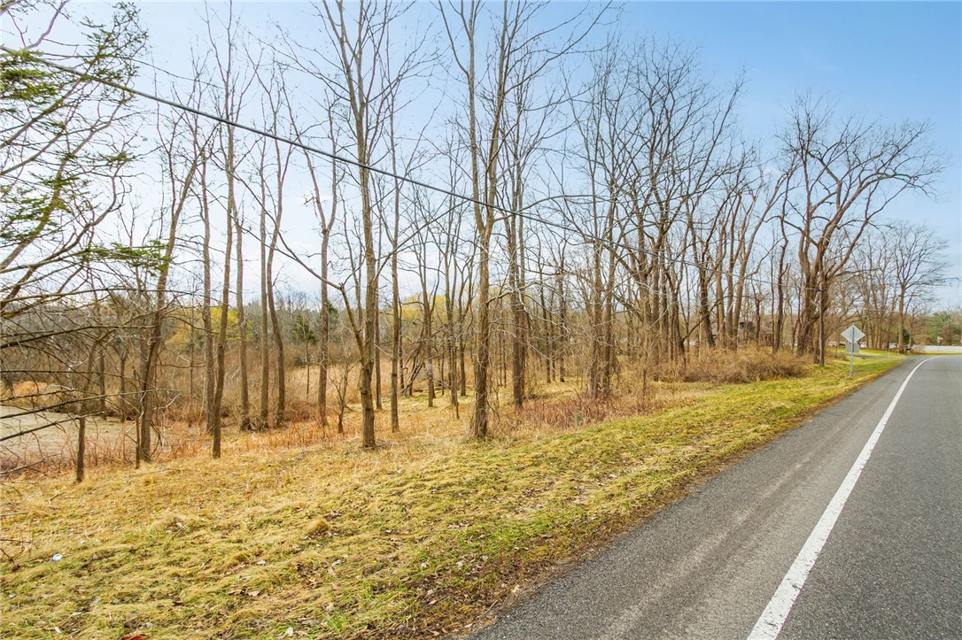 Boughton Hill Road Honeoye Falls, NY 14472 - Photo 1 of 17