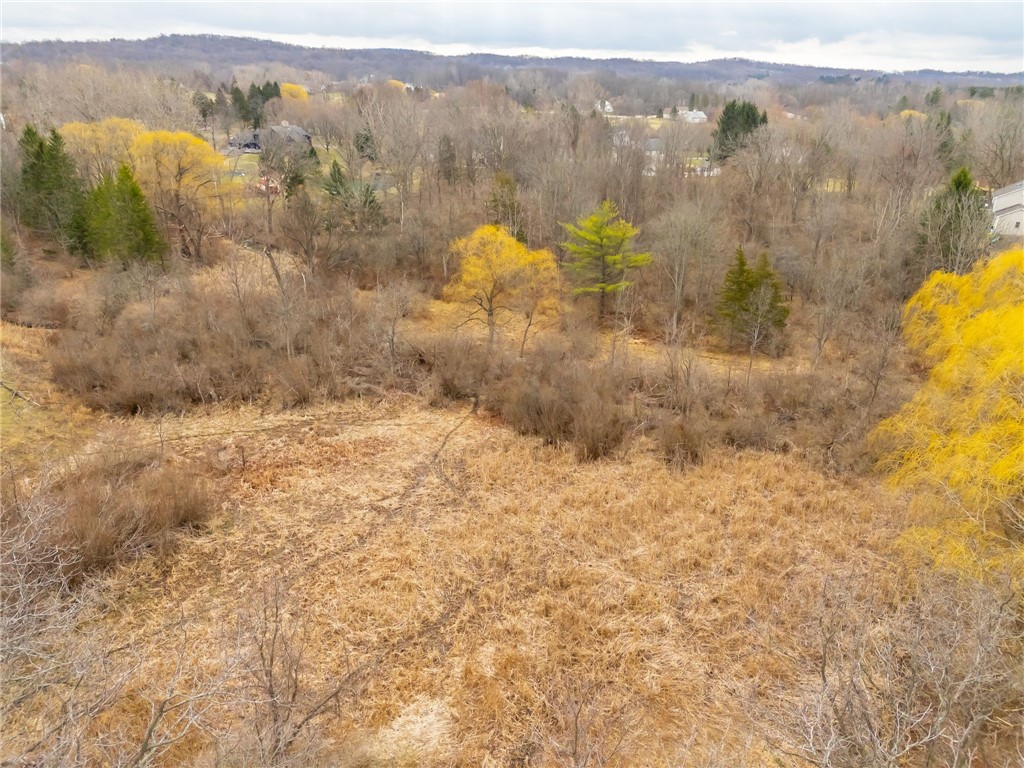 Boughton Hill Road Honeoye Falls, NY 14472 - Photo 13 of 17