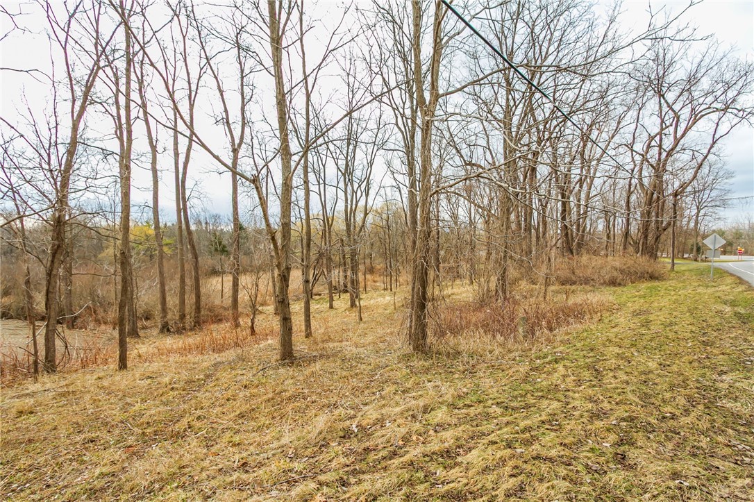 Boughton Hill Road Honeoye Falls, NY 14472 - Photo 4 of 17