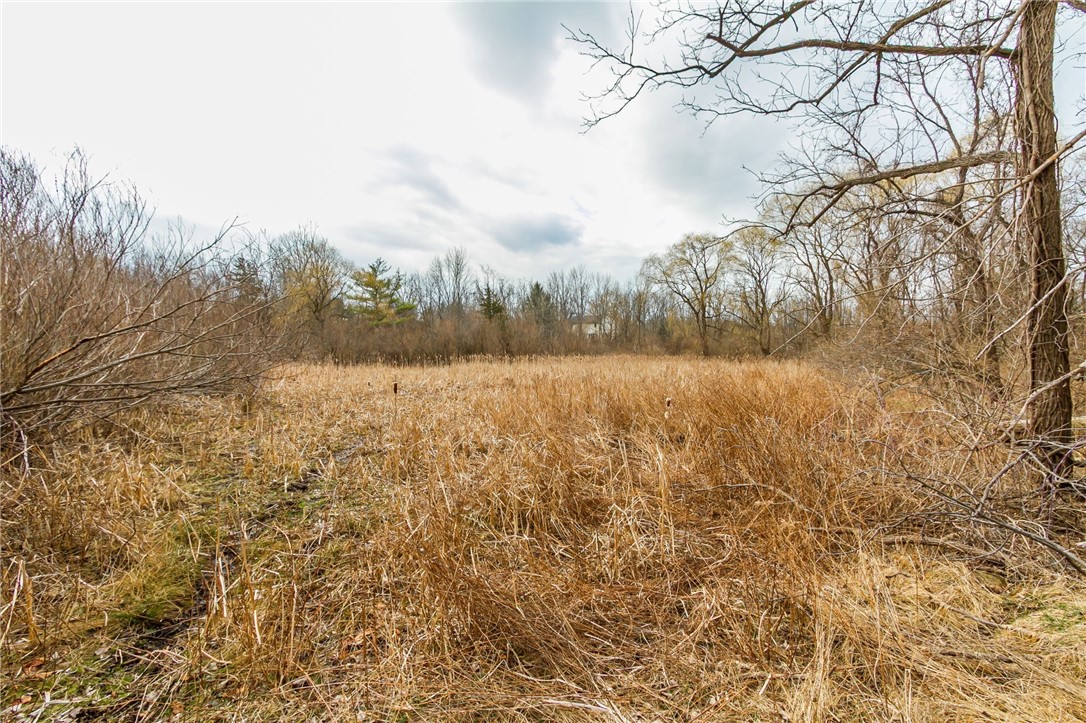 Boughton Hill Road Honeoye Falls, NY 14472 - Photo 7 of 17