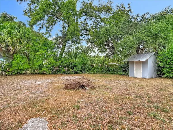 a view of a yard
