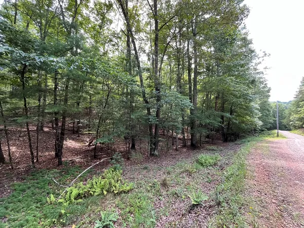 $130,000 | Tbd Sheep Knob, Brasstown, NC 28902