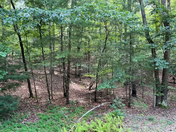 $130,000 | Tbd Sheep Knob, Brasstown, NC 28902