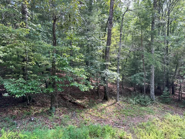 $130,000 | Tbd Sheep Knob, Brasstown, NC 28902