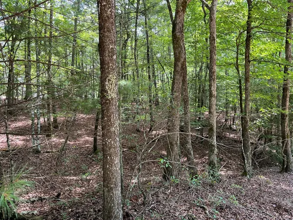 $130,000 | Tbd Sheep Knob, Brasstown, NC 28902