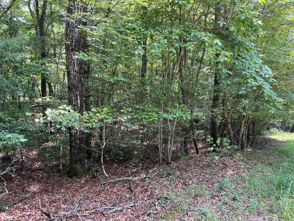 $130,000 | Tbd Sheep Knob, Brasstown, NC 28902