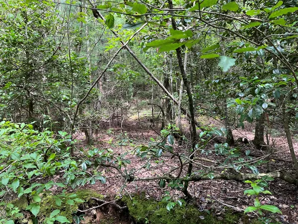 $130,000 | Tbd Sheep Knob, Brasstown, NC 28902