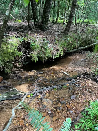 $130,000 | Tbd Sheep Knob, Brasstown, NC 28902