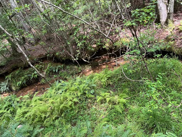 $130,000 | Tbd Sheep Knob, Brasstown, NC 28902