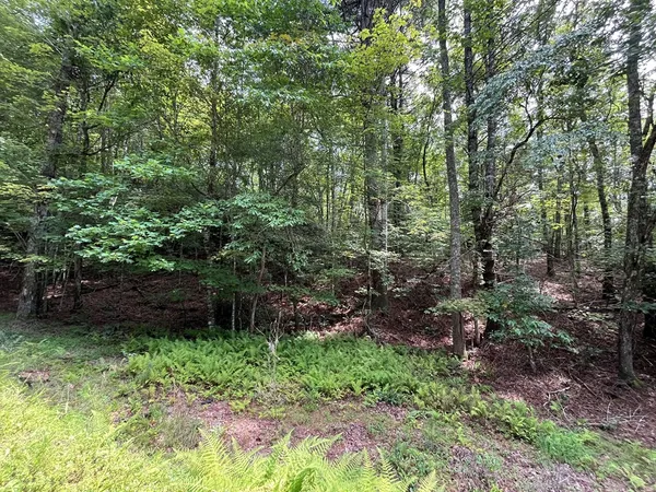 $130,000 | Tbd Sheep Knob, Brasstown, NC 28902
