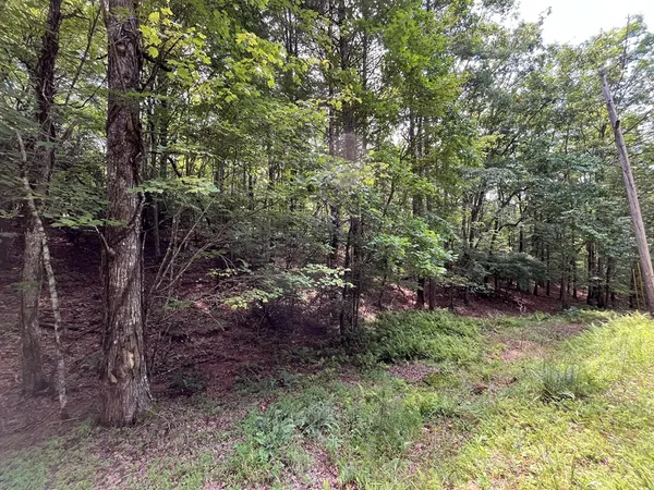 $130,000 | Tbd Sheep Knob, Brasstown, NC 28902