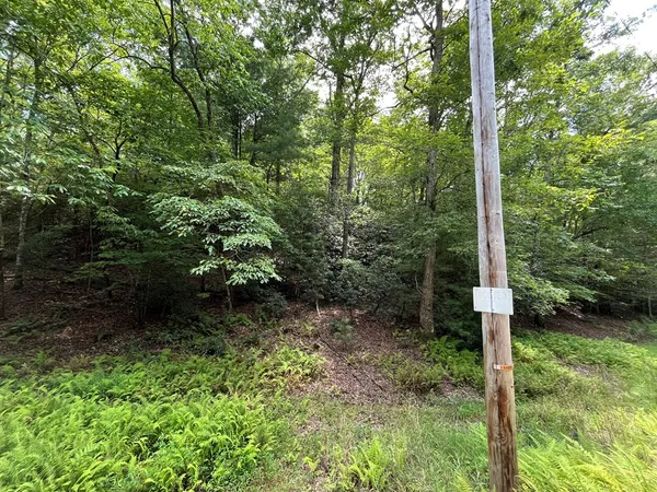 $130,000 | Tbd Sheep Knob, Brasstown, NC 28902