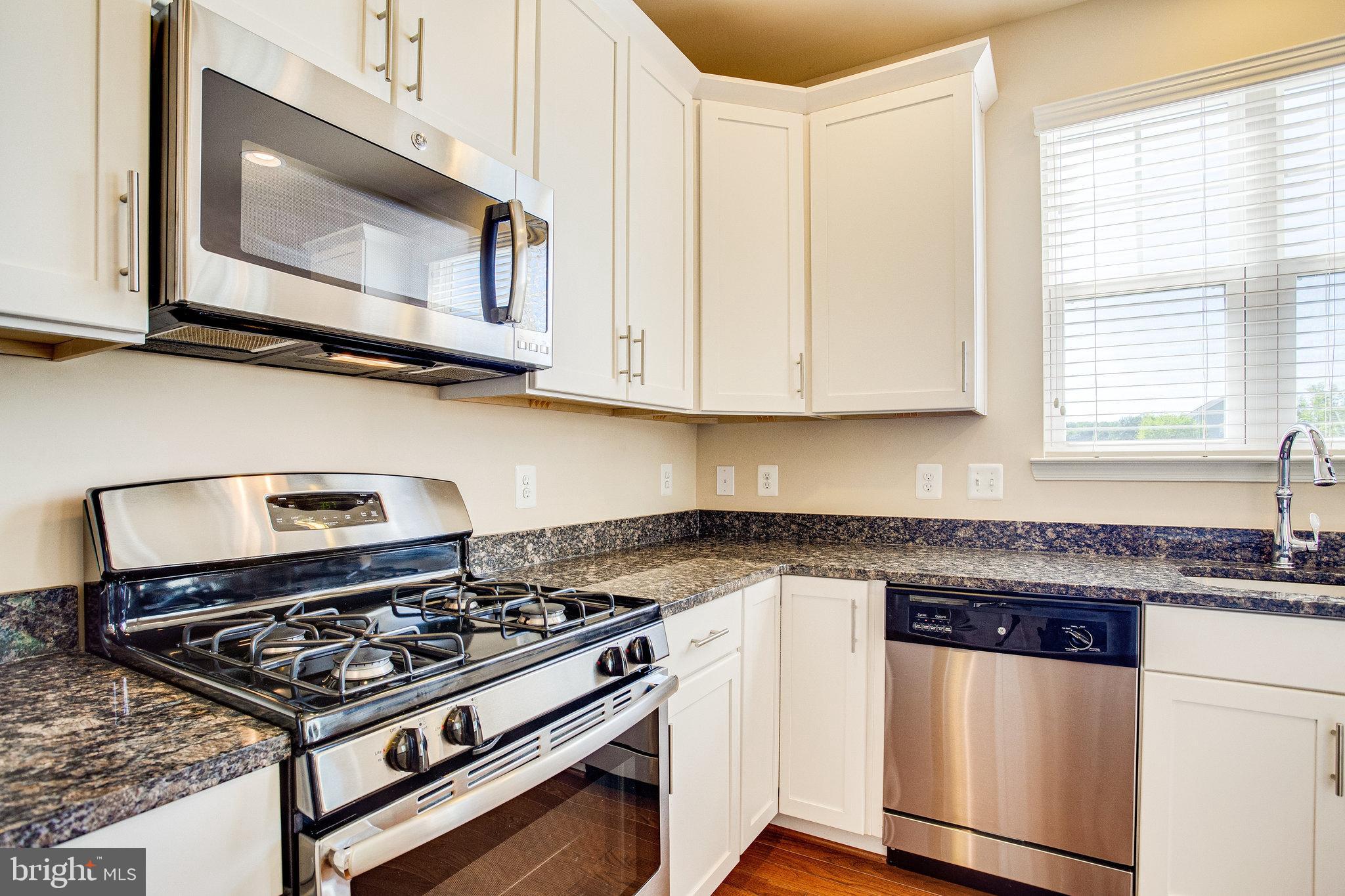 14402 Vedanta Way Silver Spring, MD 20906 - Photo 13 of 46 Gas stove