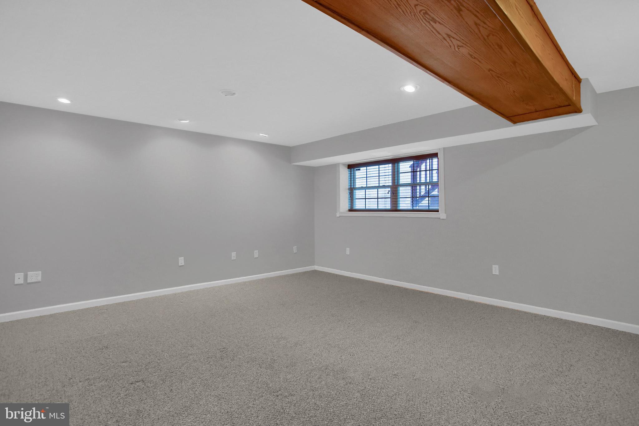 217 Silver Leaf Ridge Harrisburg, PA 17110 - Photo 17 of 30 Finished Basement