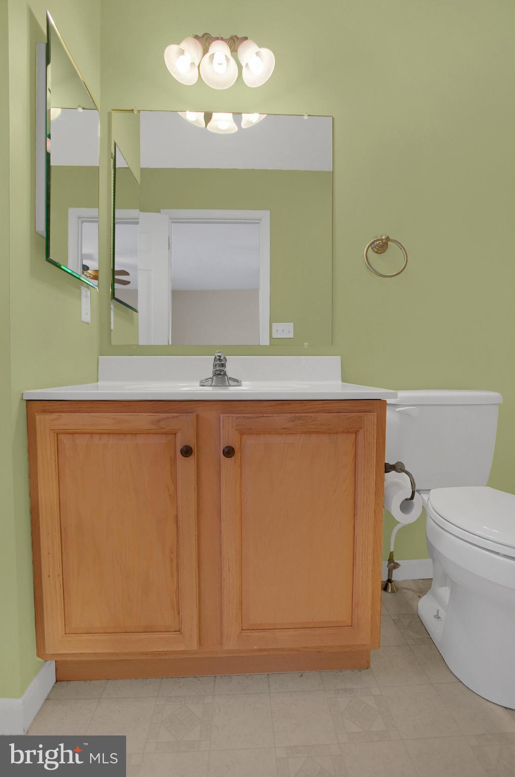 217 Silver Leaf Ridge Harrisburg, PA 17110 - Photo 24 of 30 Master Bath