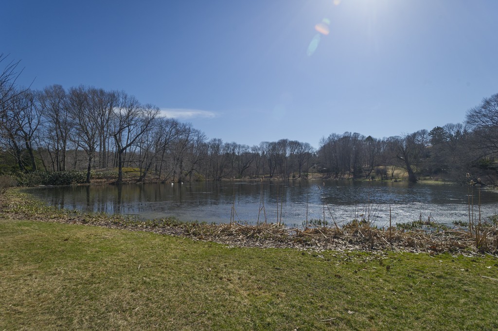 21 Sargent Crossway Brookline, MA 02445 - Photo 15 of 15 a view of a lake view