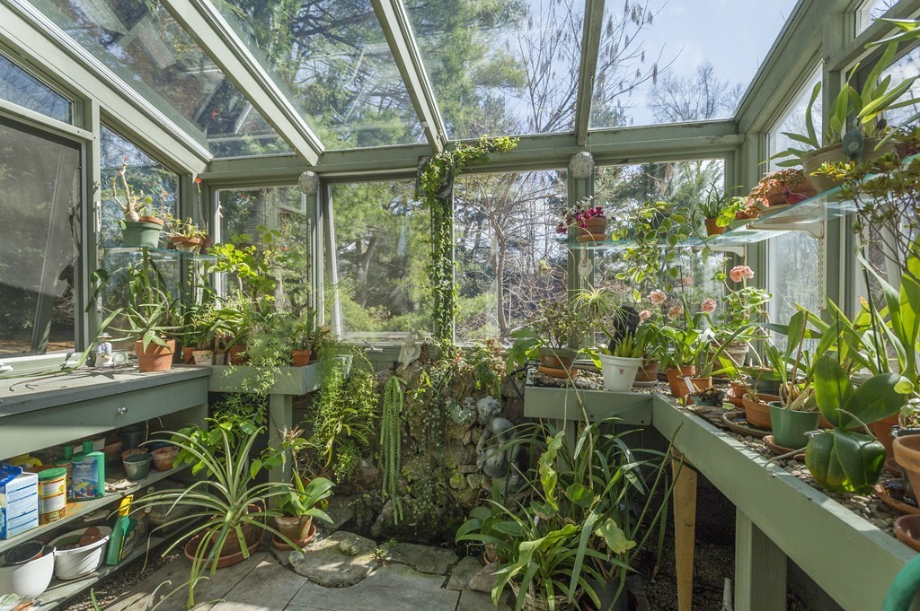 21 Sargent Crossway Brookline, MA 02445 - Photo 7 of 15 a backyard of a house with lots of green space