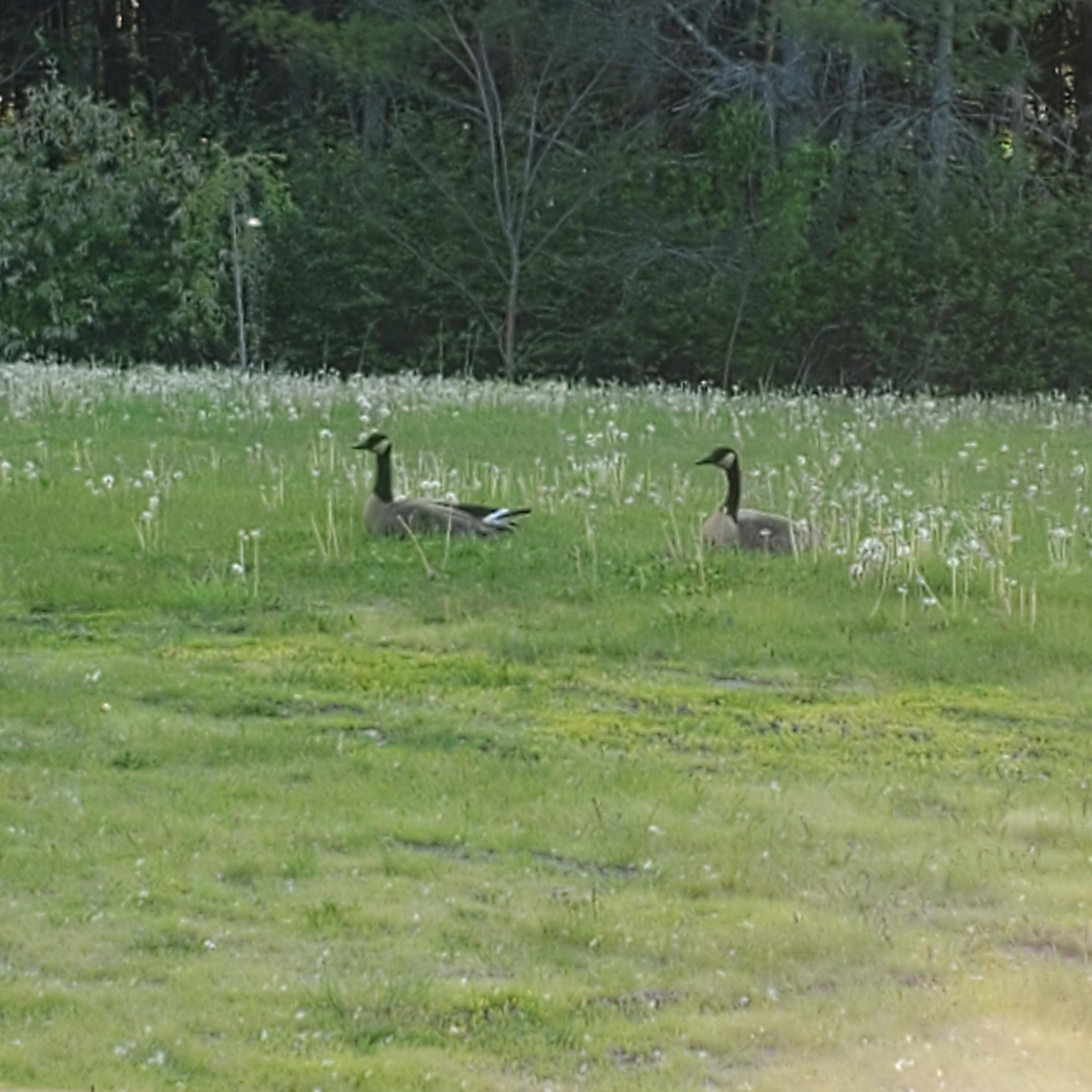 1065 Riverside Drive Auburn, ME 04210 - Photo 30 of 32 29