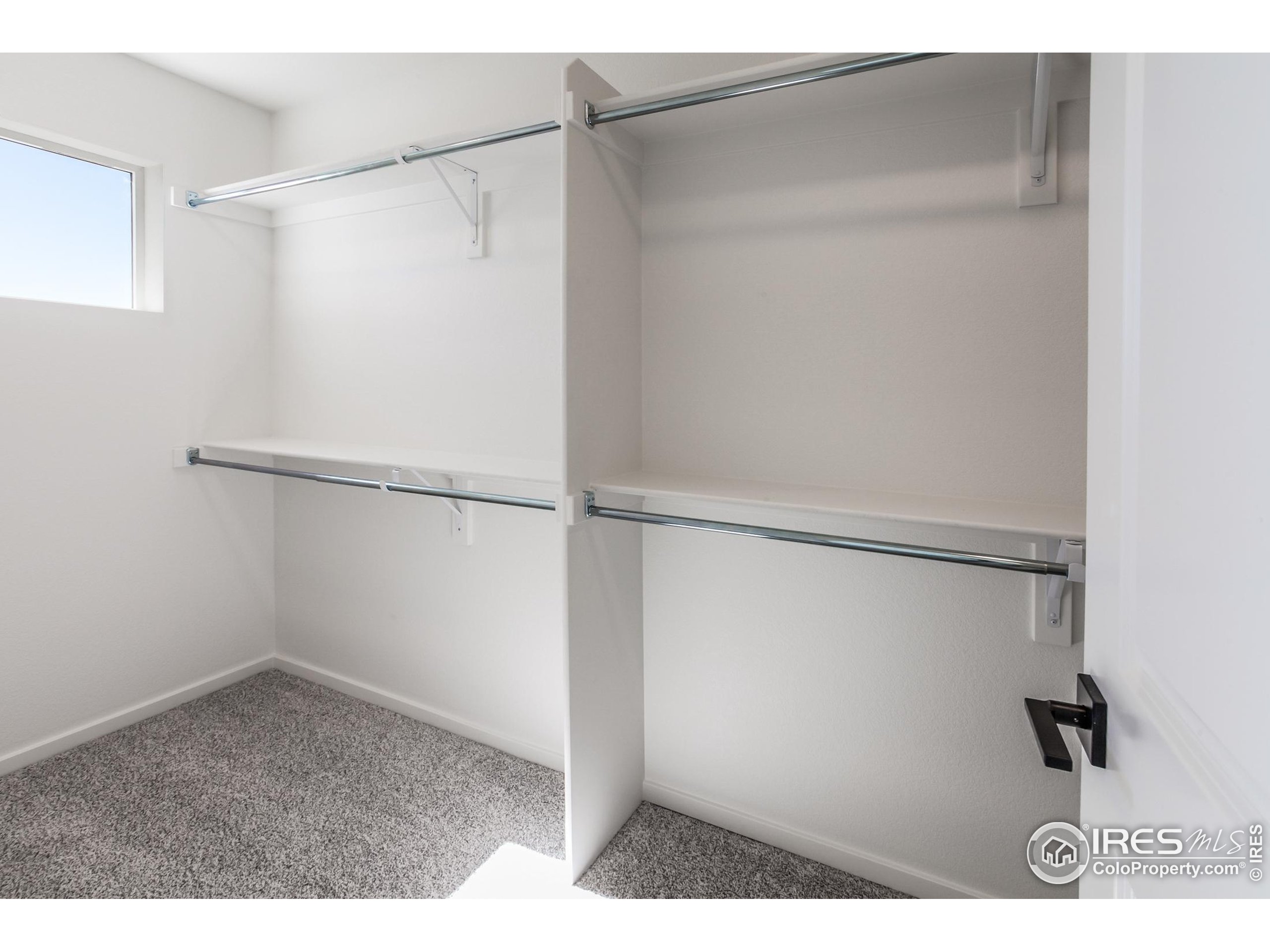 3242 Crusader Street Fort Collins, CO 80524 - Photo 28 of 36