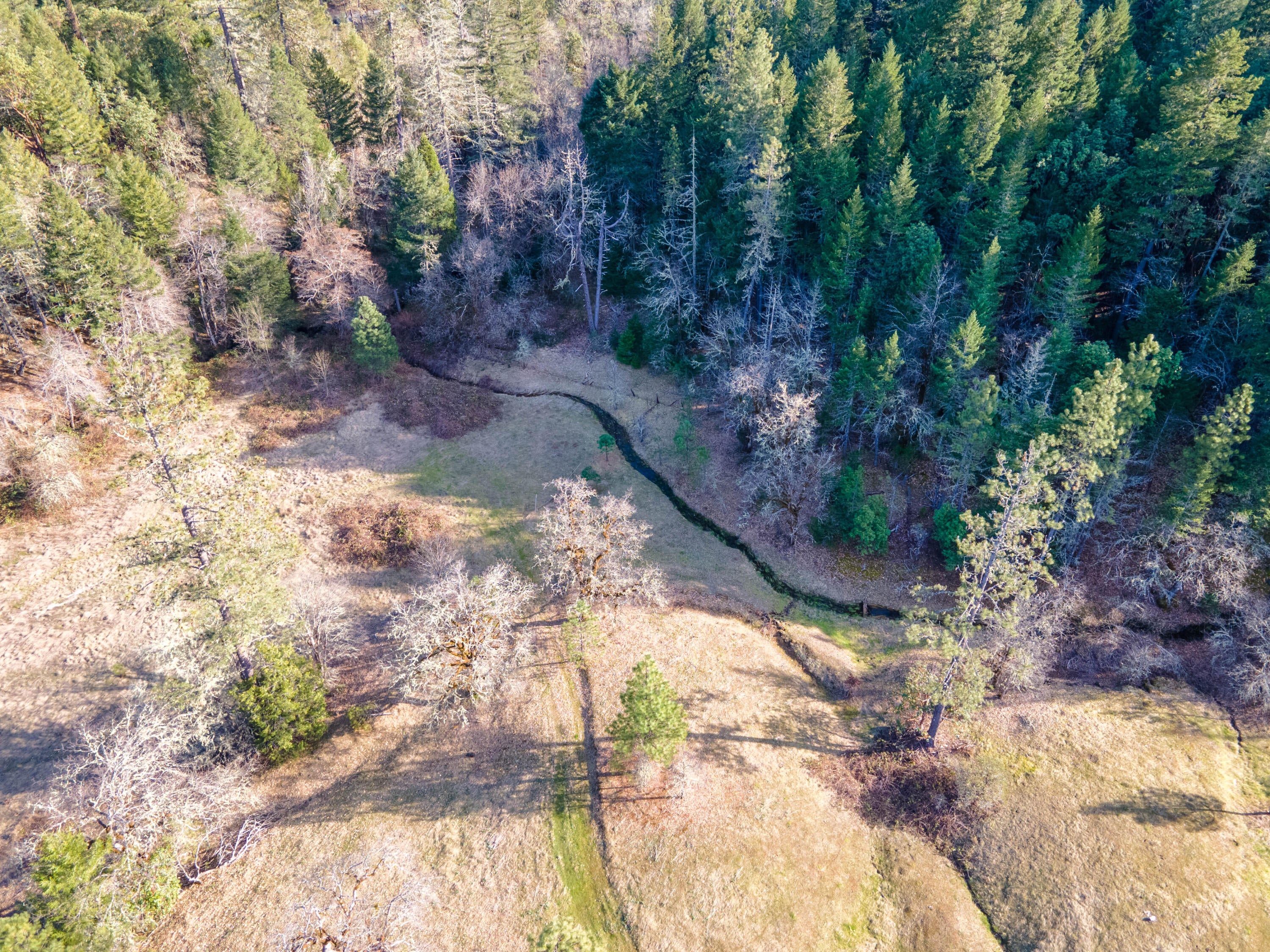 647 Gold Canyon Road Selma, OR 97538 - Photo 3 of 18 3