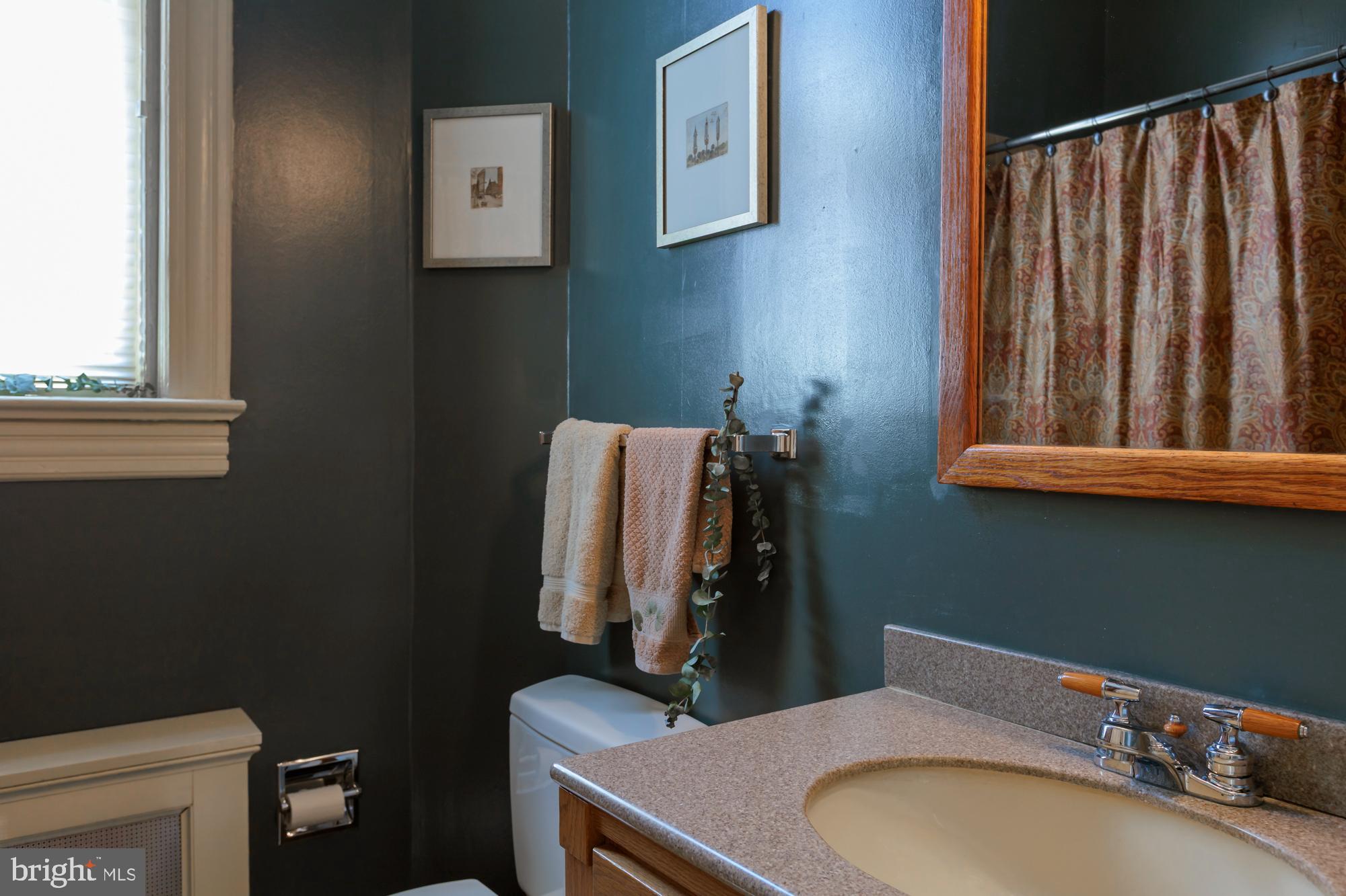 244 8th Street Southeast Washington, DC 20003 - Photo 32 of 53 a bathroom with a sink and a mirror
