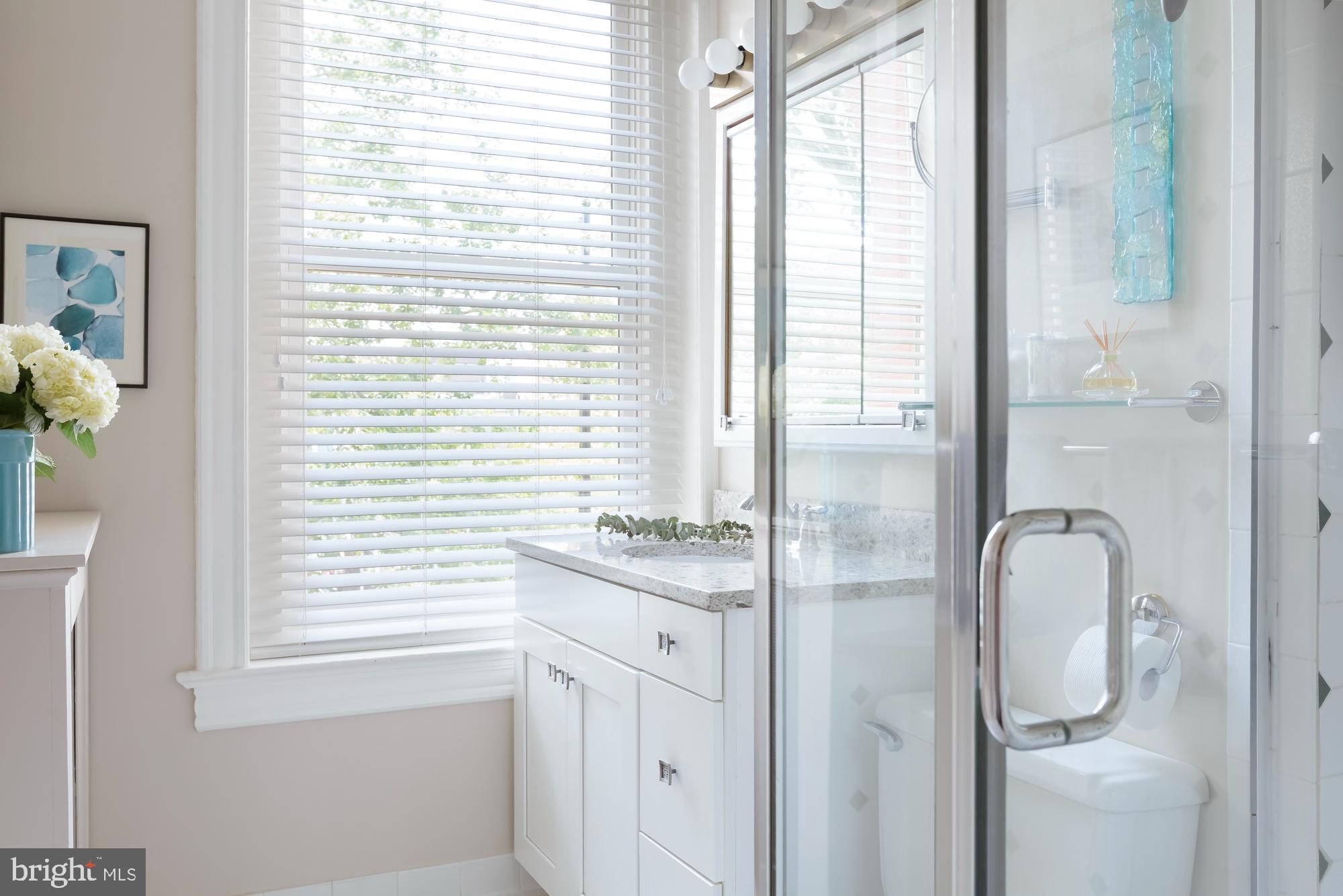244 8th Street Southeast Washington, DC 20003 - Photo 40 of 53 a bathroom with a granite countertop sink a mirror and a shower