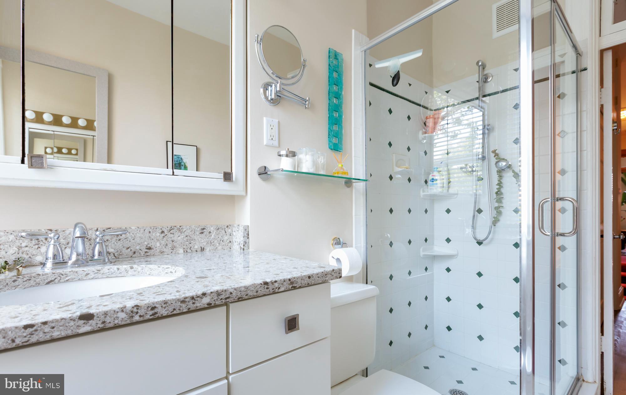 244 8th Street Southeast Washington, DC 20003 - Photo 41 of 53 a bathroom with a granite countertop sink a mirror a shower and a bathtub