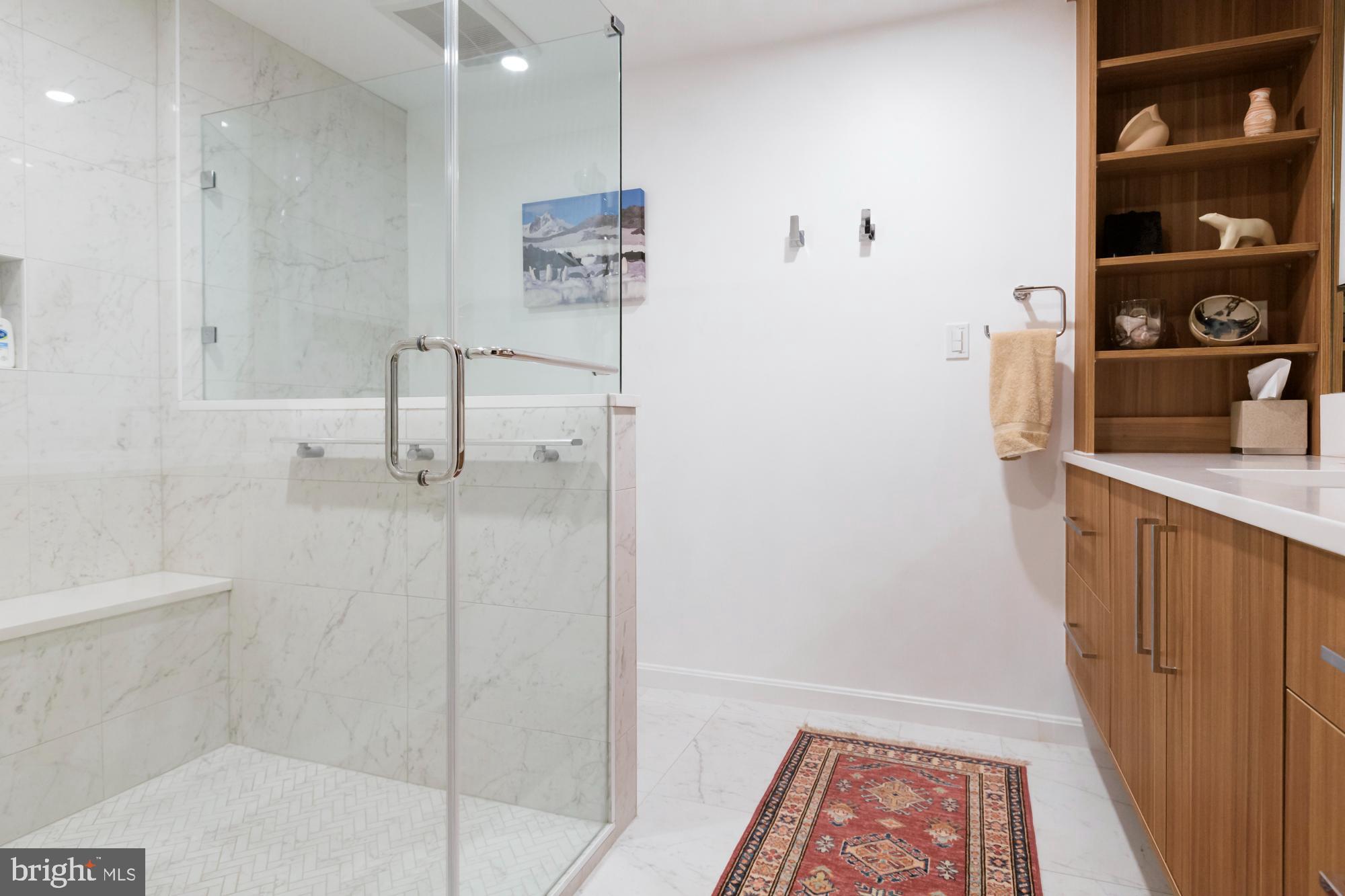 244 8th Street Southeast Washington, DC 20003 - Photo 46 of 53 a bathroom with a shower