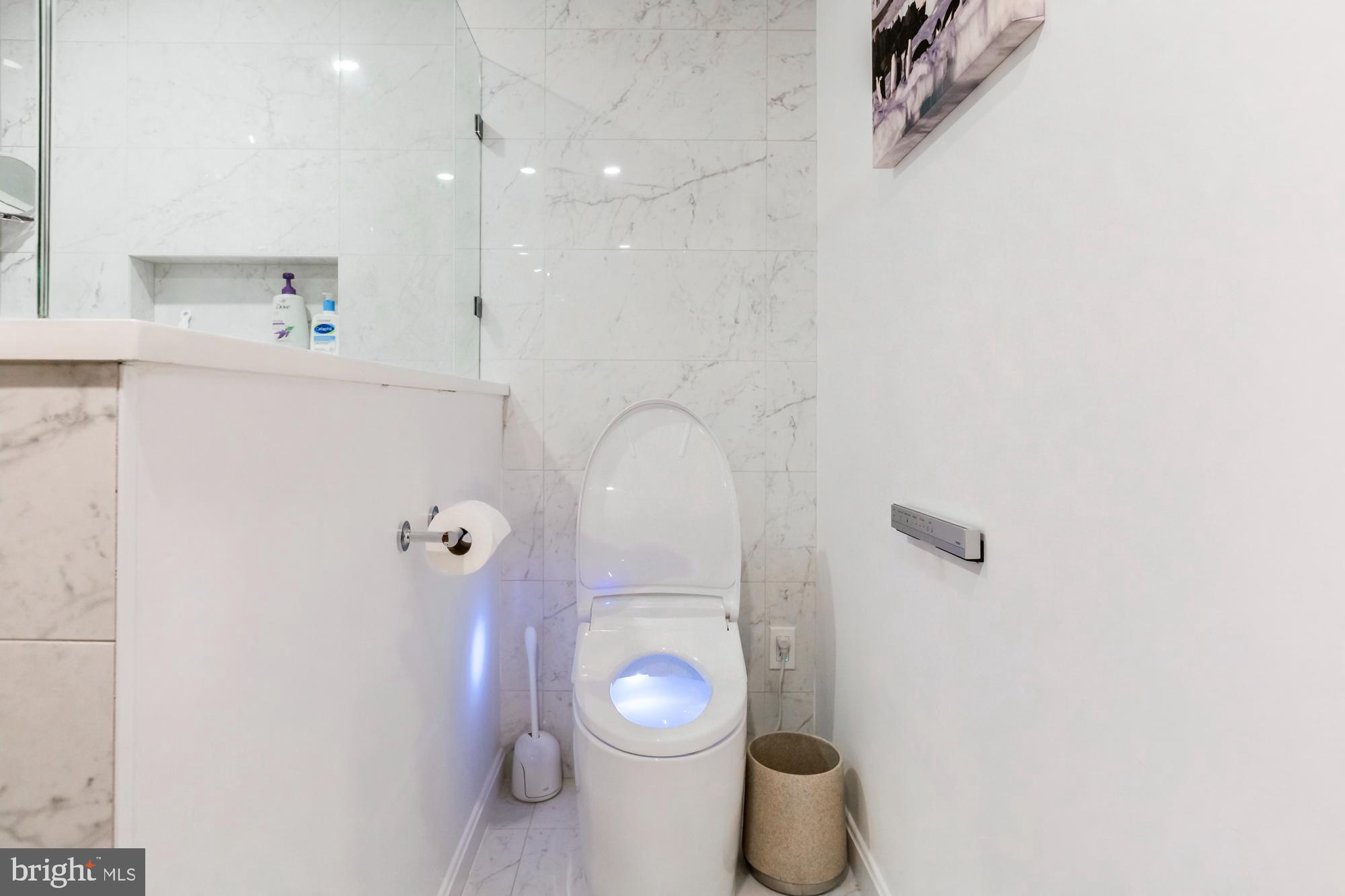 244 8th Street Southeast Washington, DC 20003 - Photo 49 of 53 a bathroom with a toilet a sink and a mirror