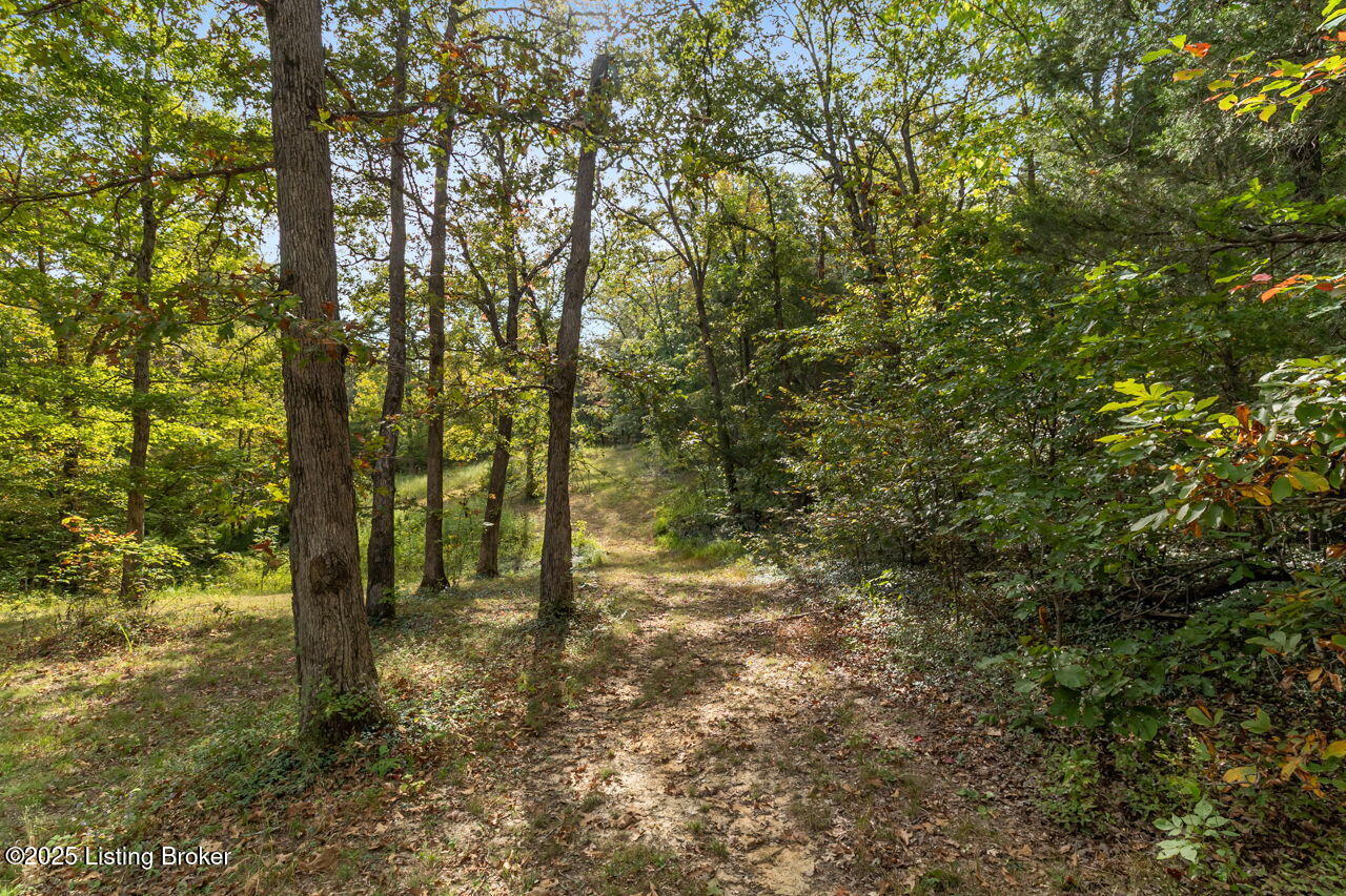 2705 Green Valley Ranch Road Battletown, KY 40104 - Photo 34 of 38 2705 Green Valley Ranch Rd - 67