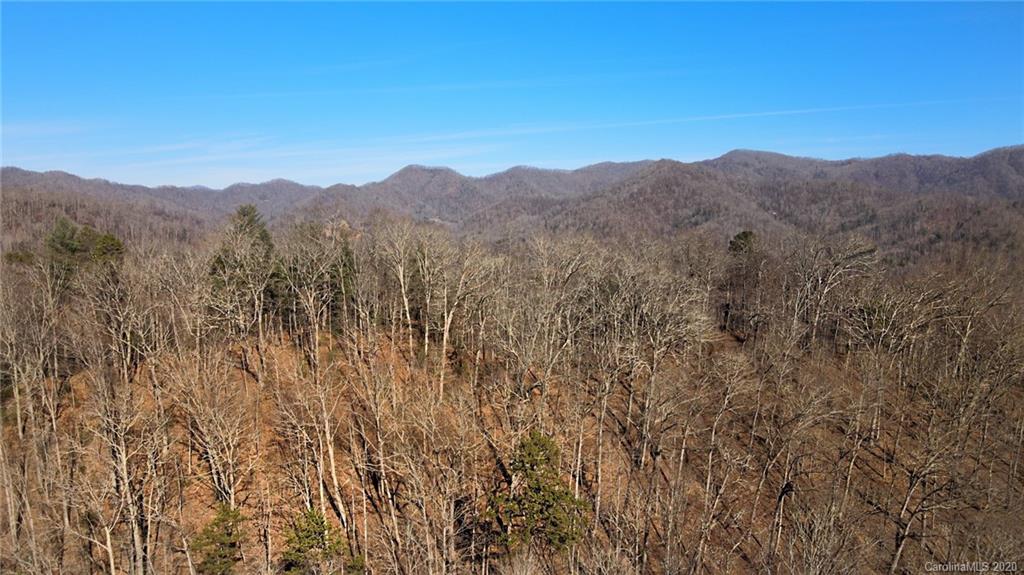 852 Fisher Branch Road Marshall, NC 28753 - Photo 1 of 23 Gallery Image 1