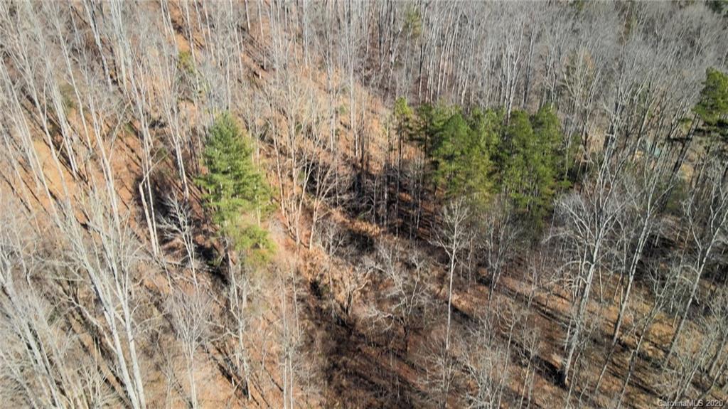 852 Fisher Branch Road Marshall, NC 28753 - Photo 14 of 23 Gallery Image 14