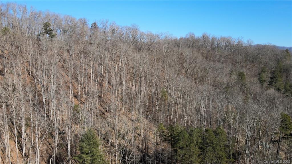 852 Fisher Branch Road Marshall, NC 28753 - Photo 15 of 23 Gallery Image 15