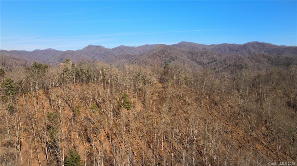 852 Fisher Branch Road Marshall, NC 28753 - Photo 16 of 23 Gallery Image 16