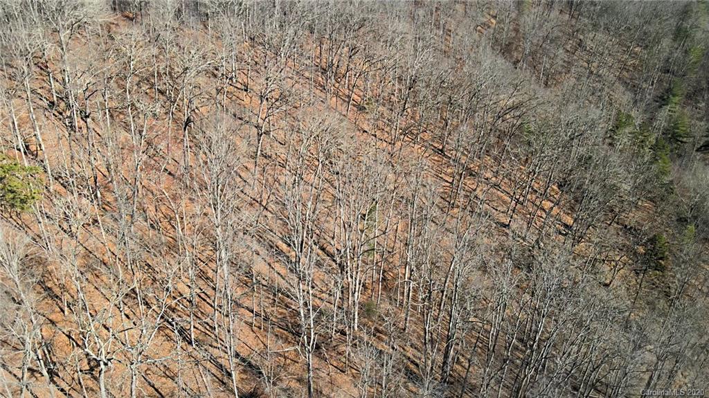 852 Fisher Branch Road Marshall, NC 28753 - Photo 19 of 23 Gallery Image 19