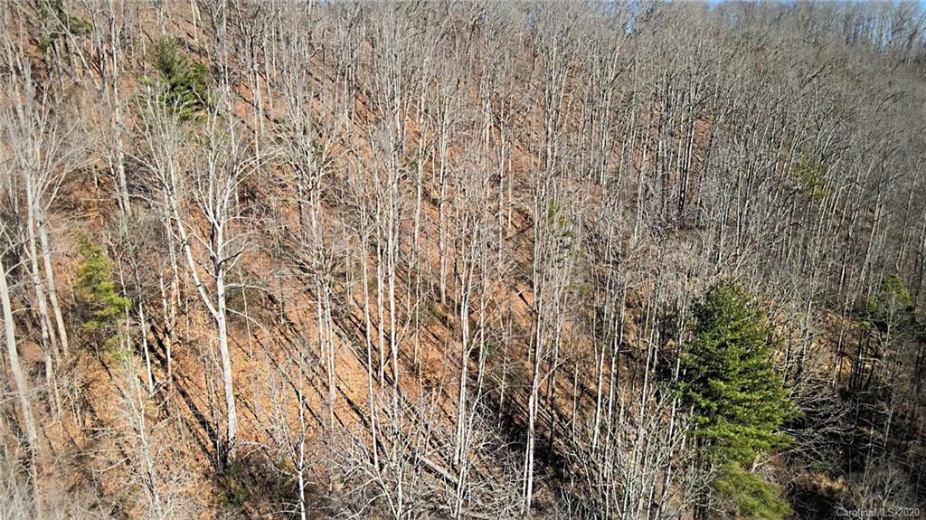 852 Fisher Branch Road Marshall, NC 28753 - Photo 20 of 23 Gallery Image 20