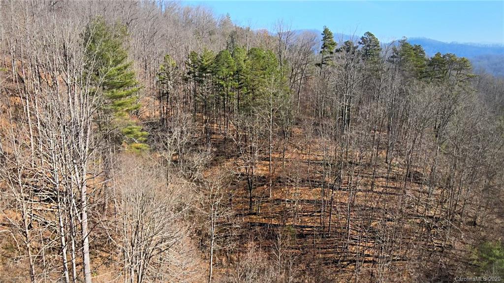 852 Fisher Branch Road Marshall, NC 28753 - Photo 21 of 23 Gallery Image 21