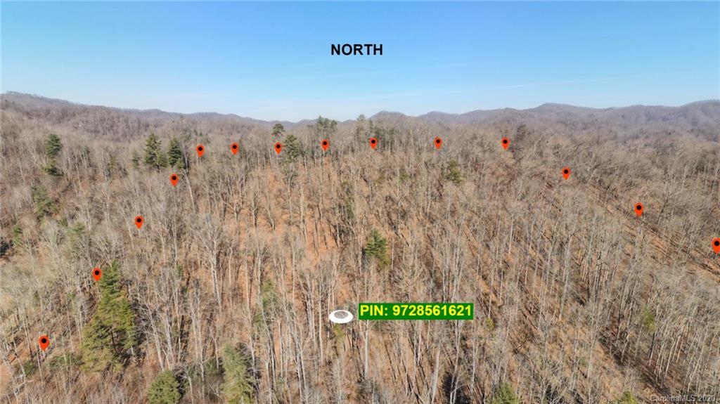 852 Fisher Branch Road Marshall, NC 28753 - Photo 10 of 23 Gallery Image 10